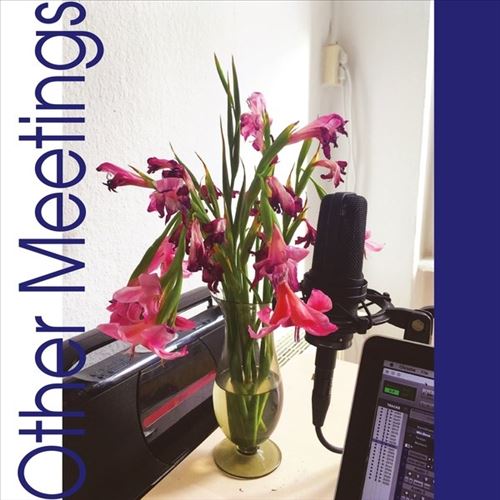 Other Meetings cover art