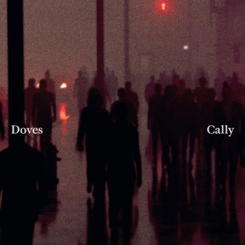 Cally/Lean Into the Wind cover art