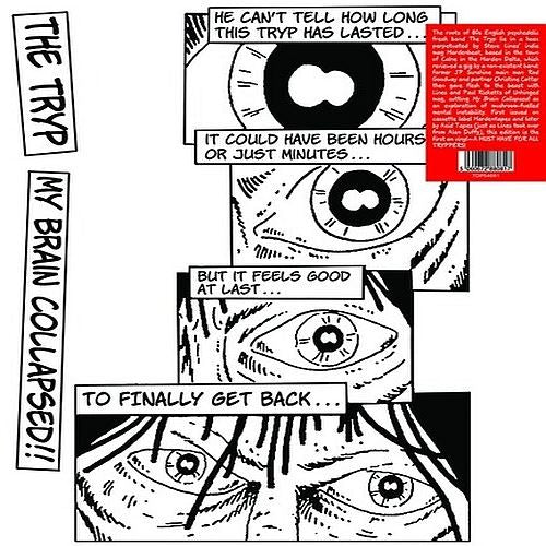 My Brain Collapsed cover art