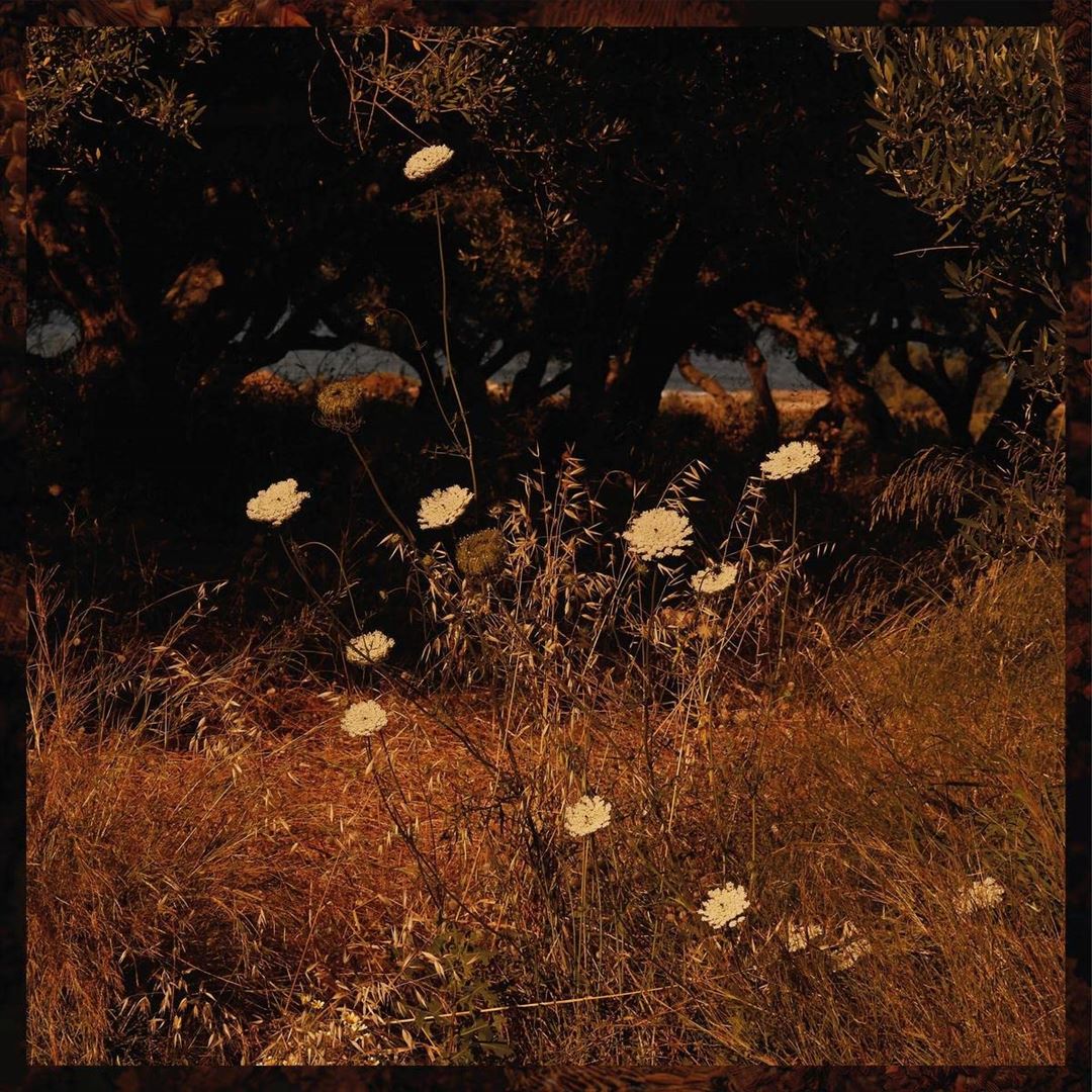 Earth Patterns cover art