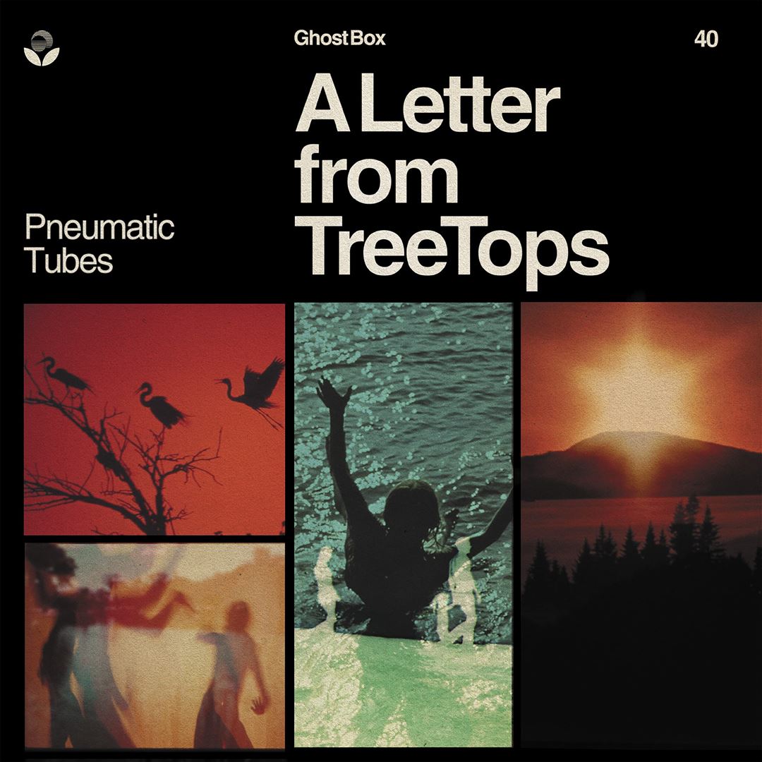 Letter From Treetops cover art