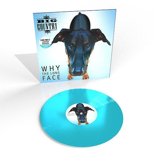 Why the Long Face cover art