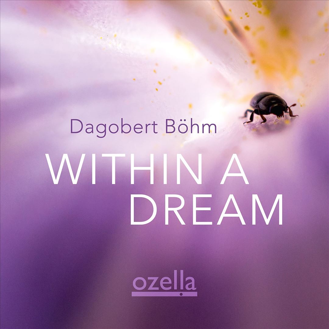 Within a Dream cover art