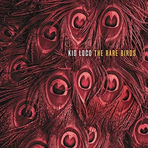Rare Birds cover art