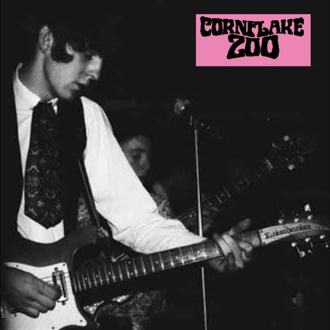 Knights of Fuzz cover art