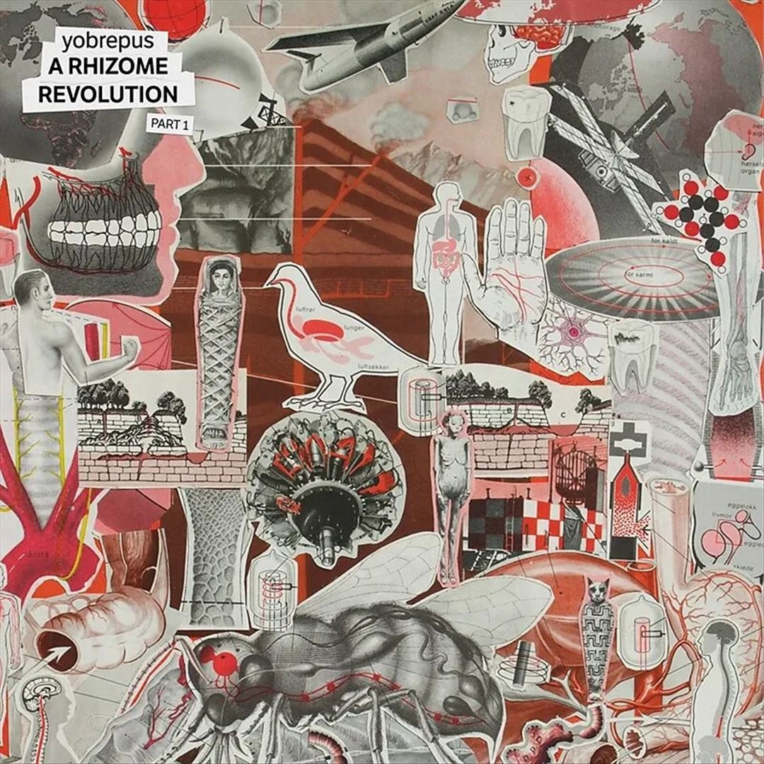 Rhizome Revolution, Pt. 1 cover art