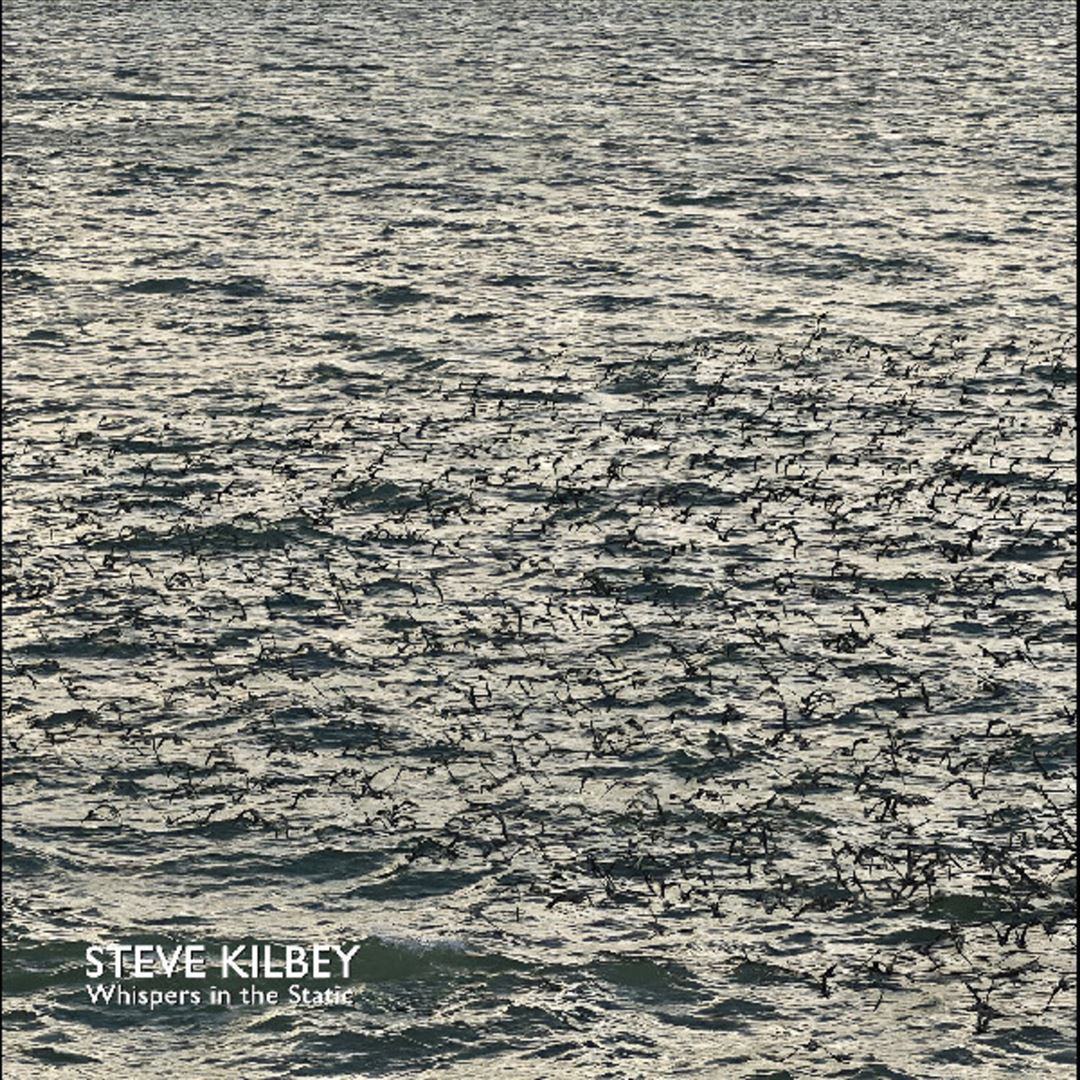 Whispers in the Static cover art