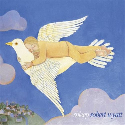 Shleep cover art