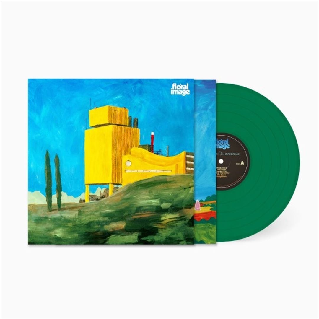 Gone down Meadowland cover art