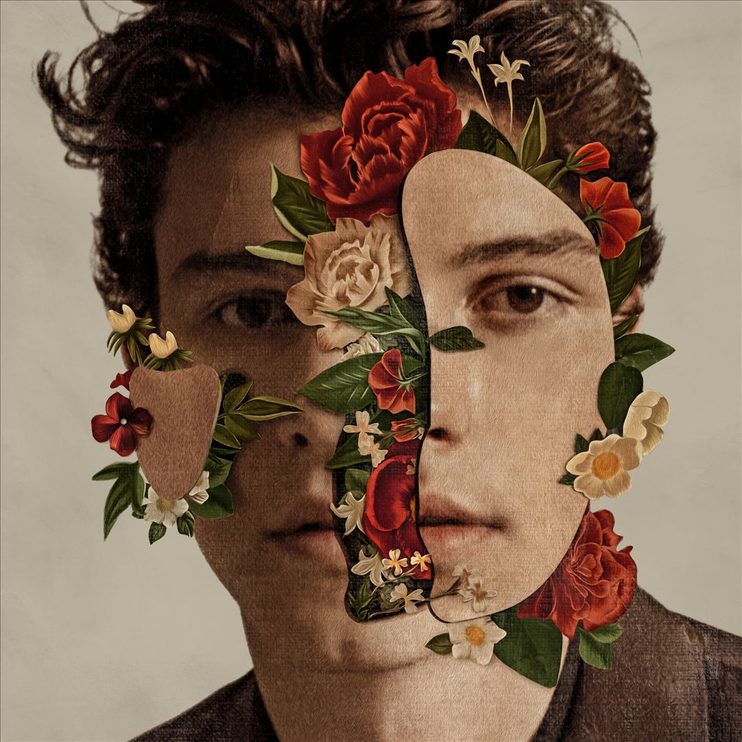 Shawn Mendes cover art