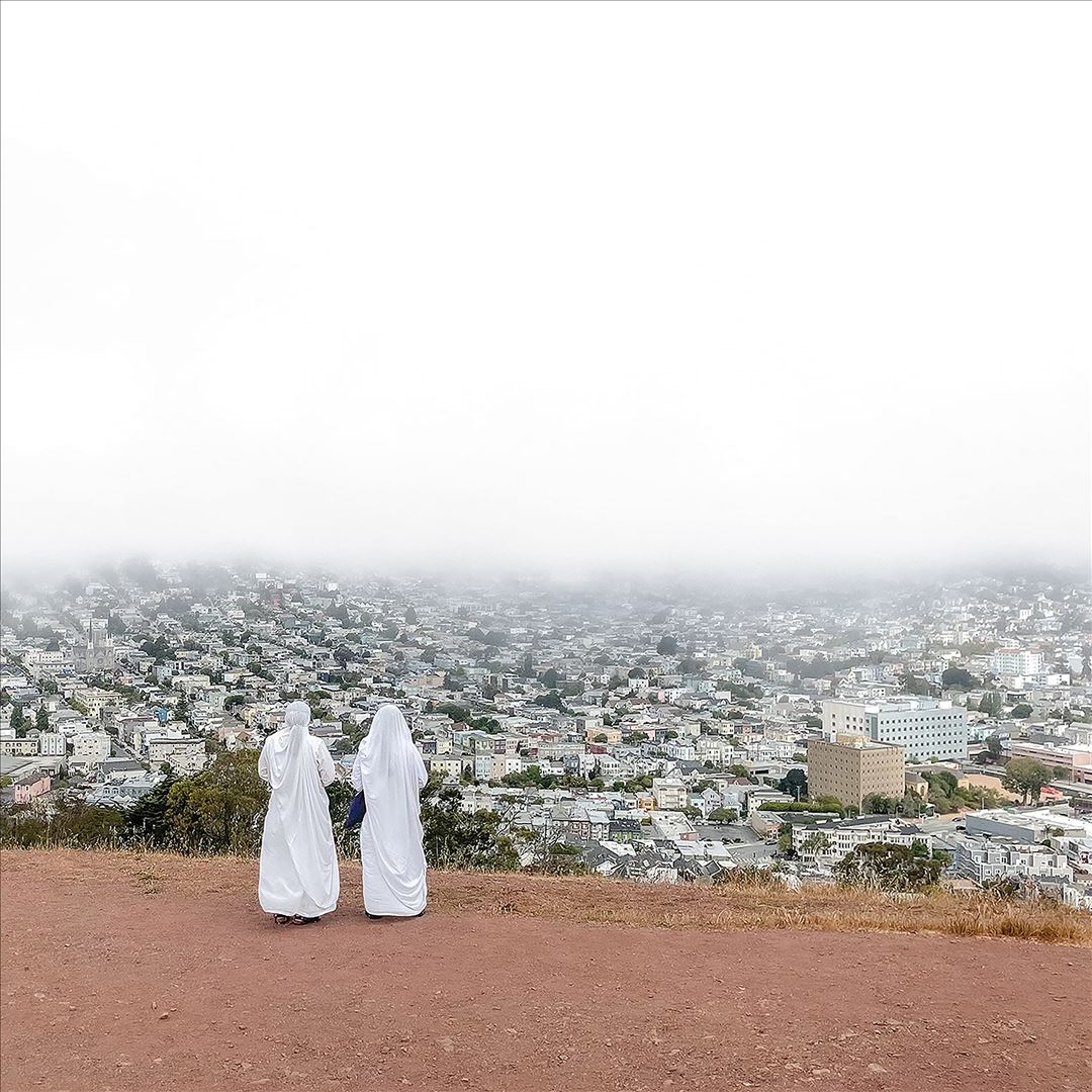 Asphalt Meadows cover art