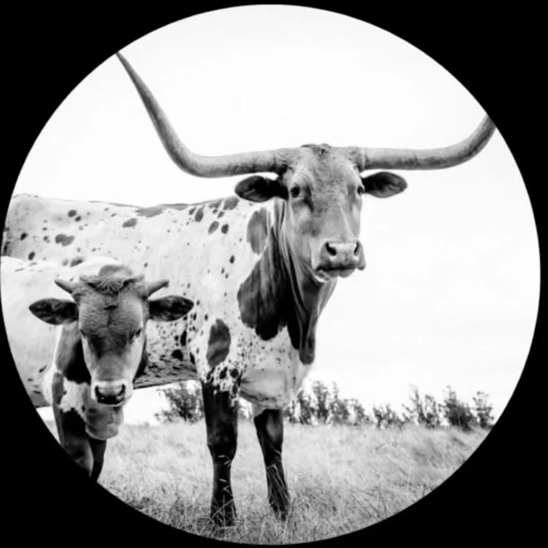 West Texas Blues cover art