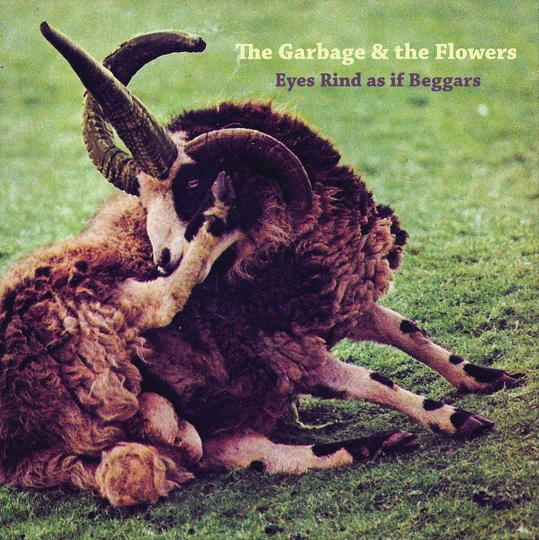 Eyes Rind as If Beggars cover art