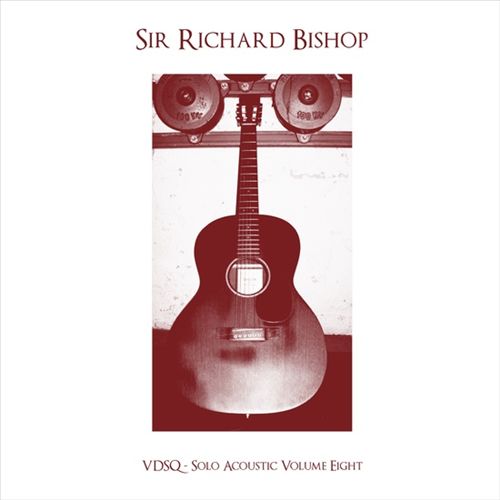 VDSQ Solo Acoustic, Vol. 8 cover art