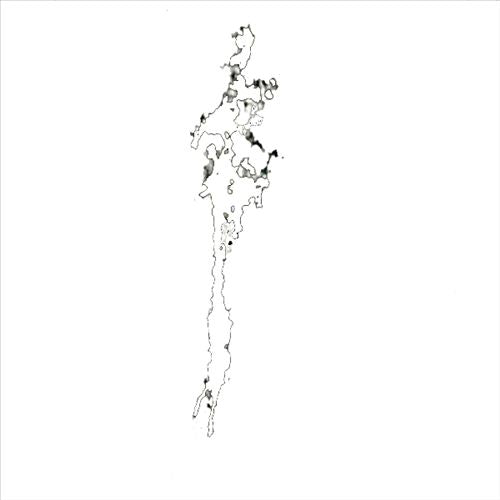 Witness Tree cover art