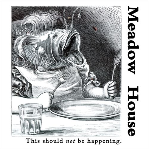 This Should Not Be Happening cover art