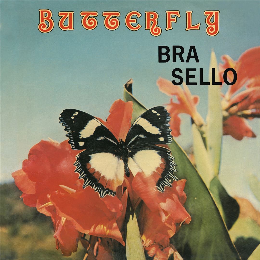Butterfly cover art