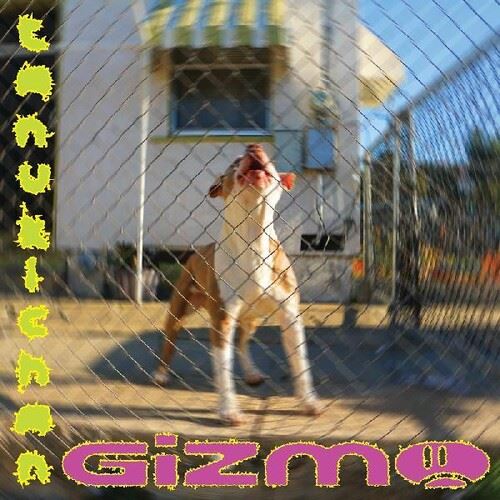 Gizmo cover art