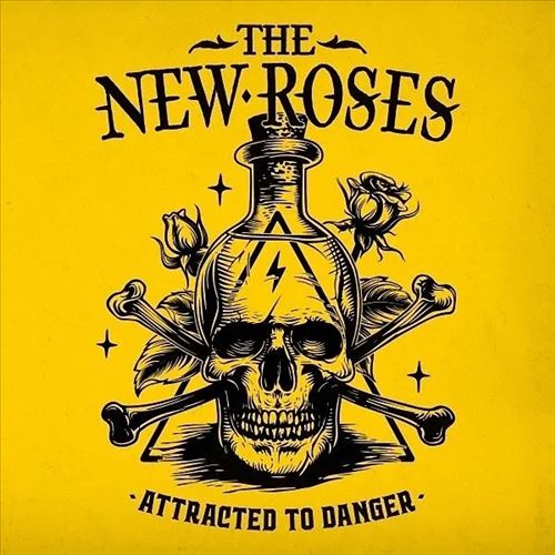 Attracted to Danger cover art