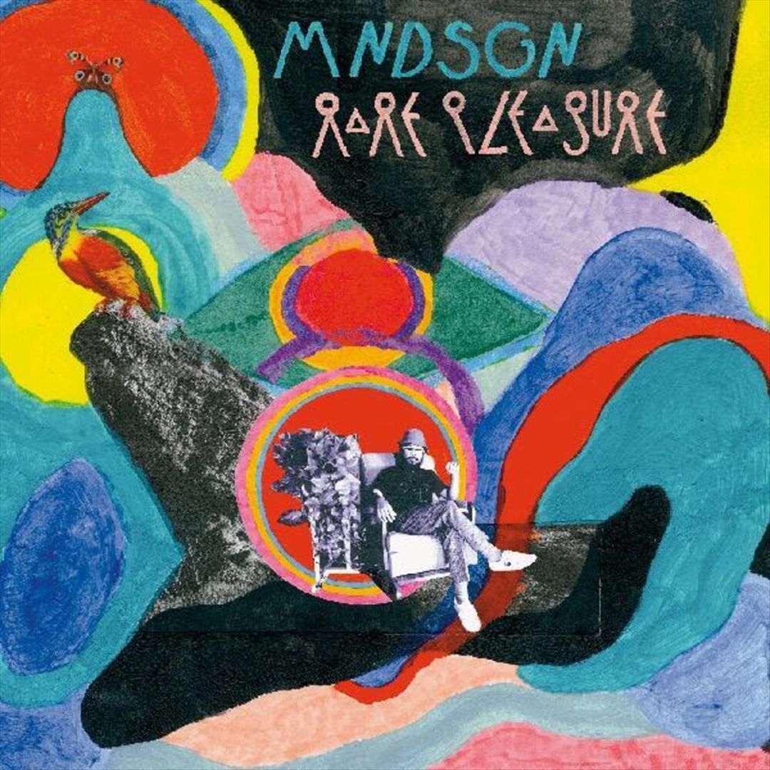Rare Pleasure cover art
