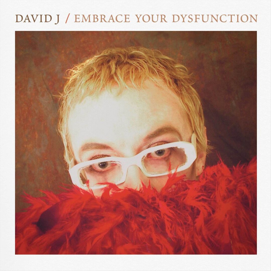 Embrace Your Dysfunction cover art