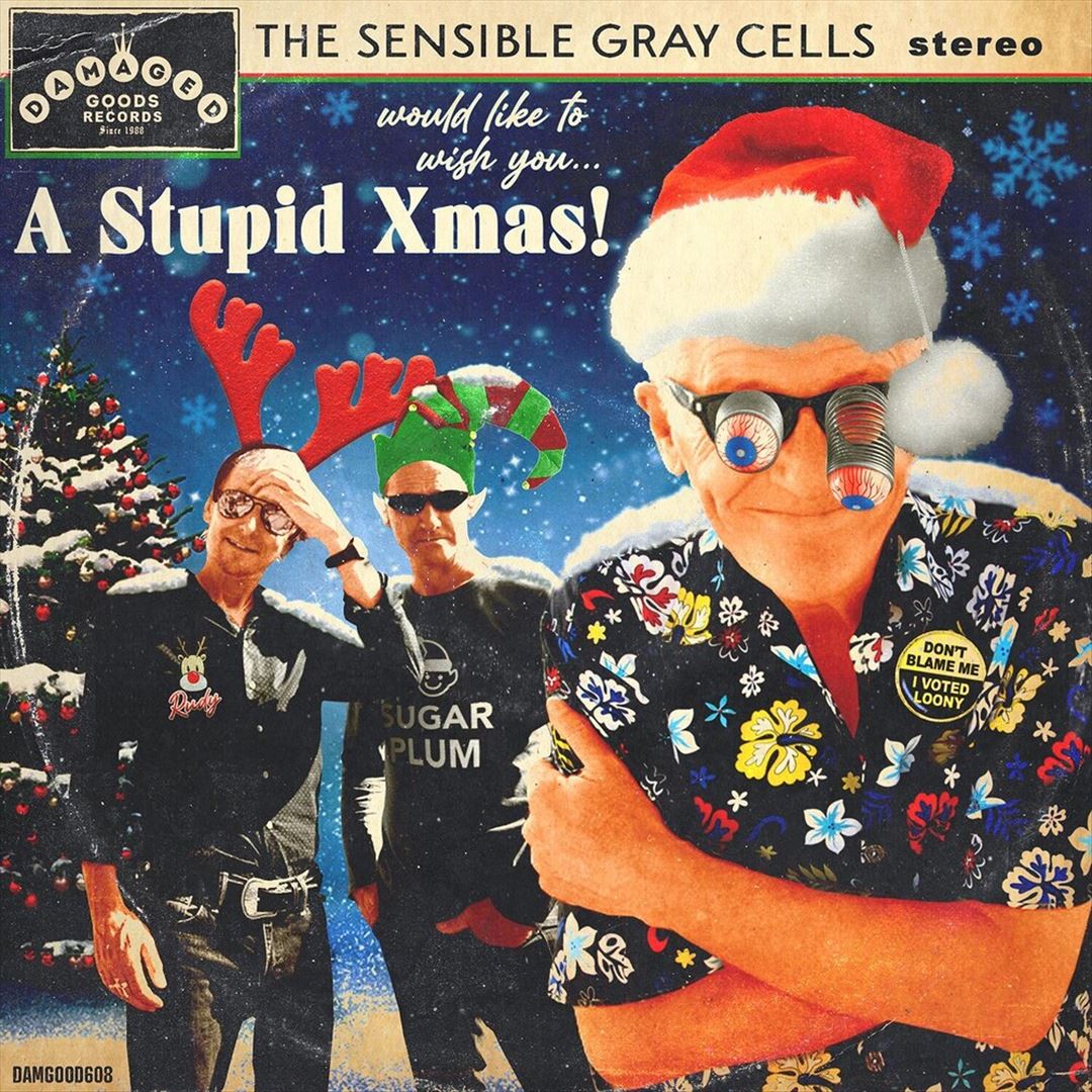 Stupid Xmas! cover art