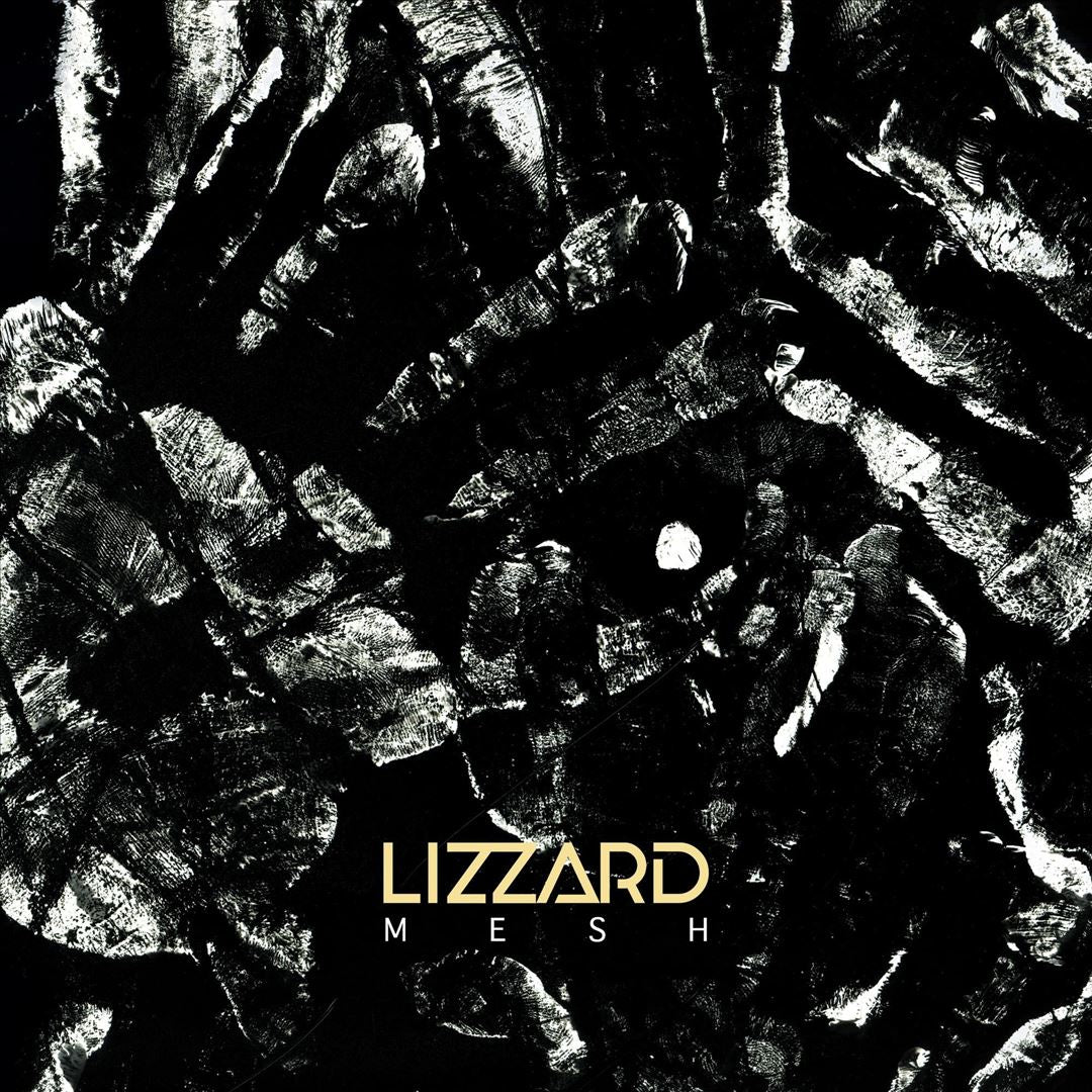 Mesh cover art