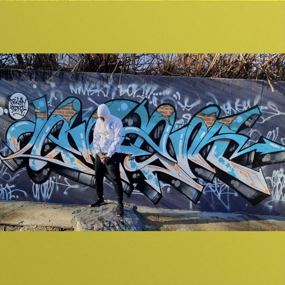 Vandal cover art