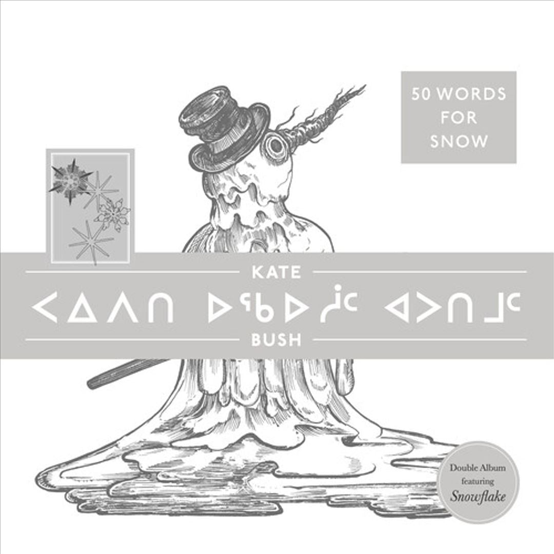 50 Words for Snow cover art