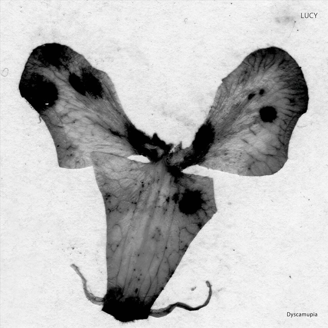 Dyscamupia cover art