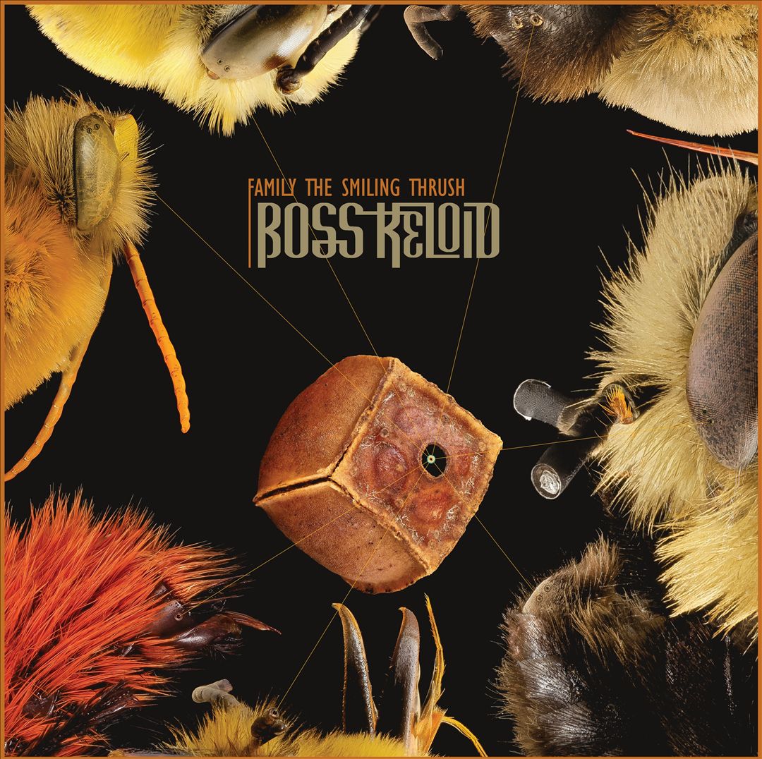 Family the Smiling Thrush cover art