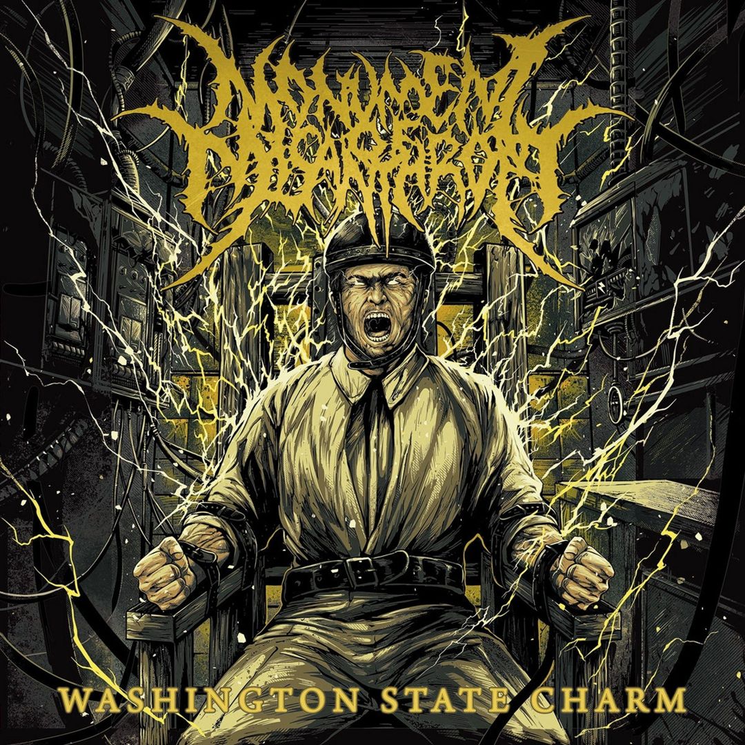 Washington State Charm cover art