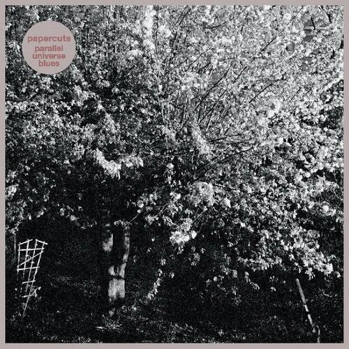 Parallel Universe Blues cover art