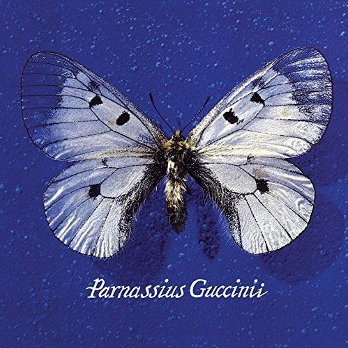Parnassius Guccinii cover art