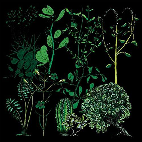 In Rounds cover art