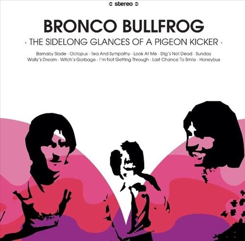 Sidelong Glances of a Pigeon Kicker cover art