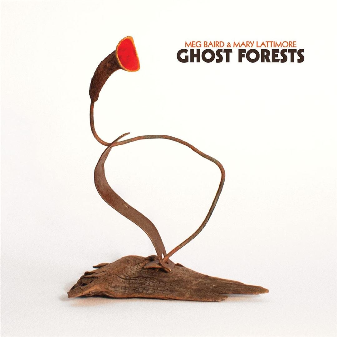 Ghost Forests cover art