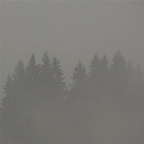 Donnerwetter cover art