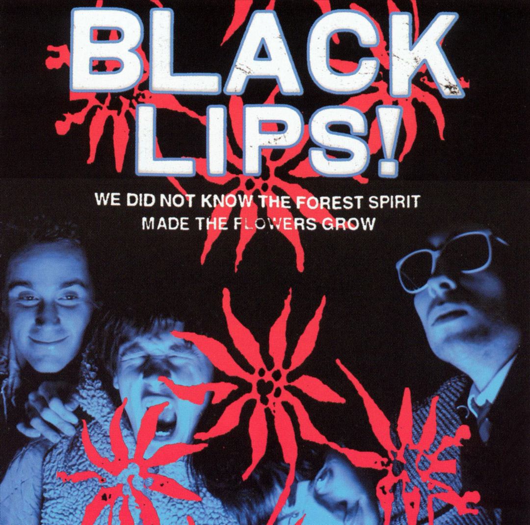 We Did Not Know the Forest Spirit Made the Flowers Grow cover art