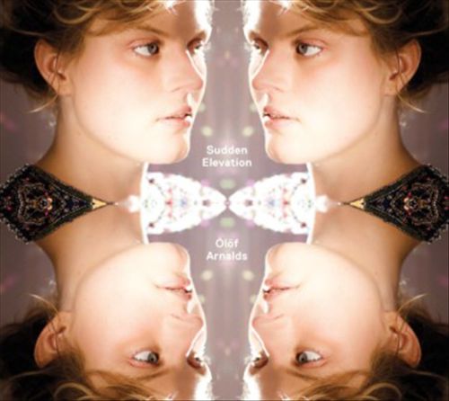 Sudden Elevation cover art
