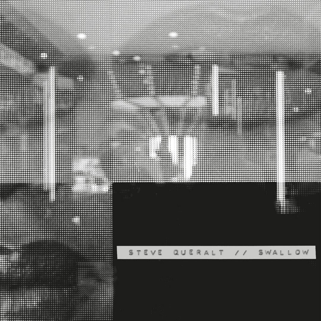 Swallow cover art
