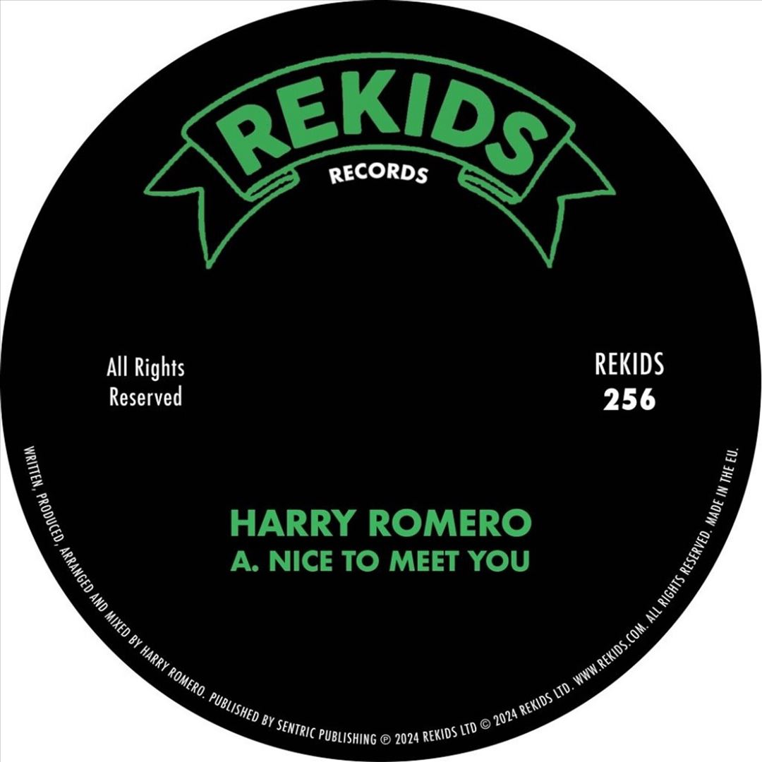Nice to Meet You cover art