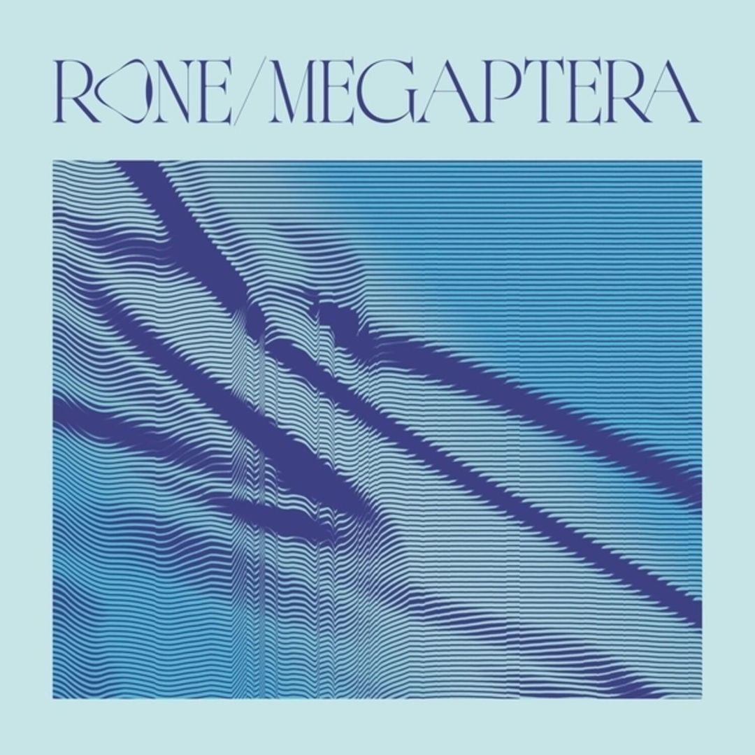 Megaptera cover art