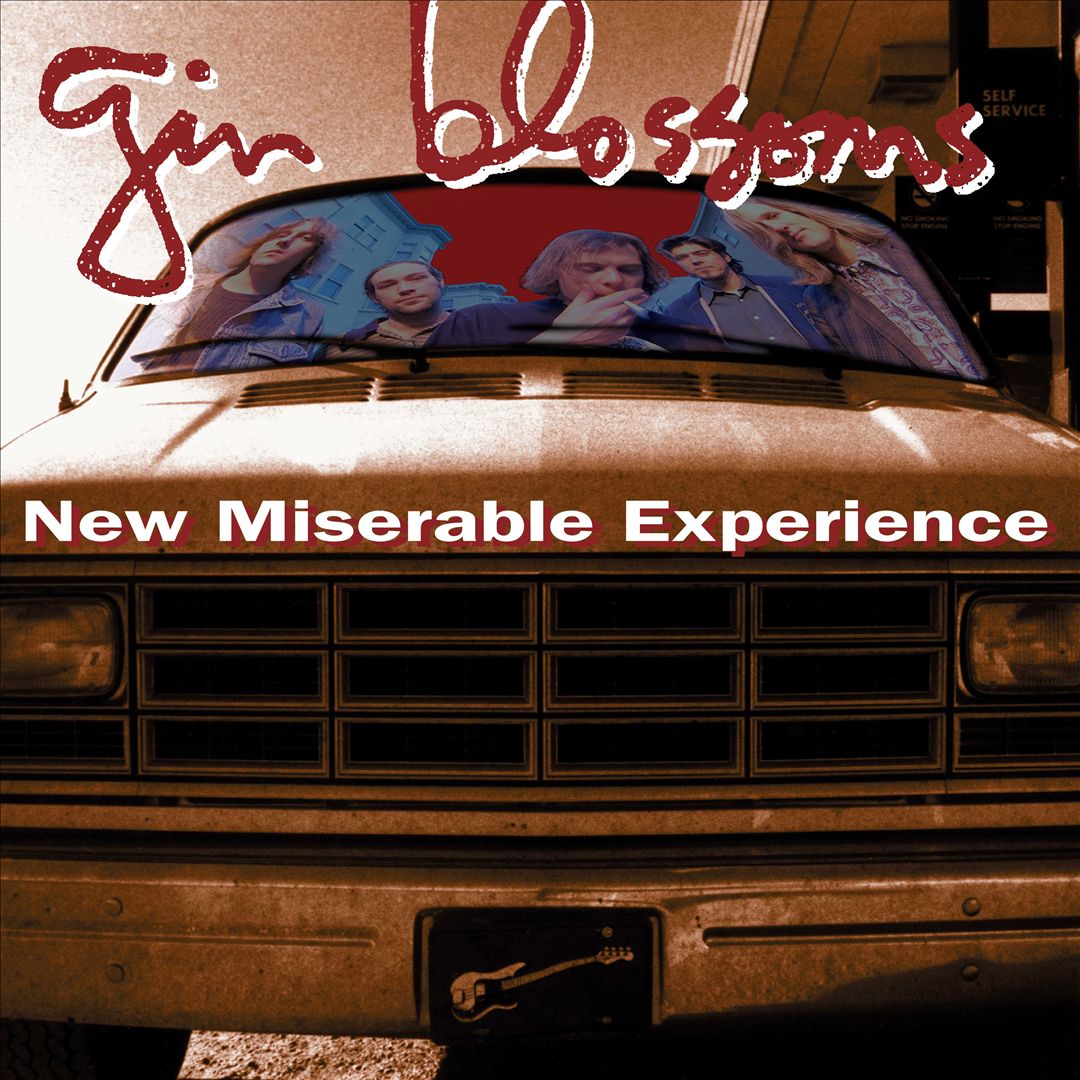 New Miserable Experience cover art