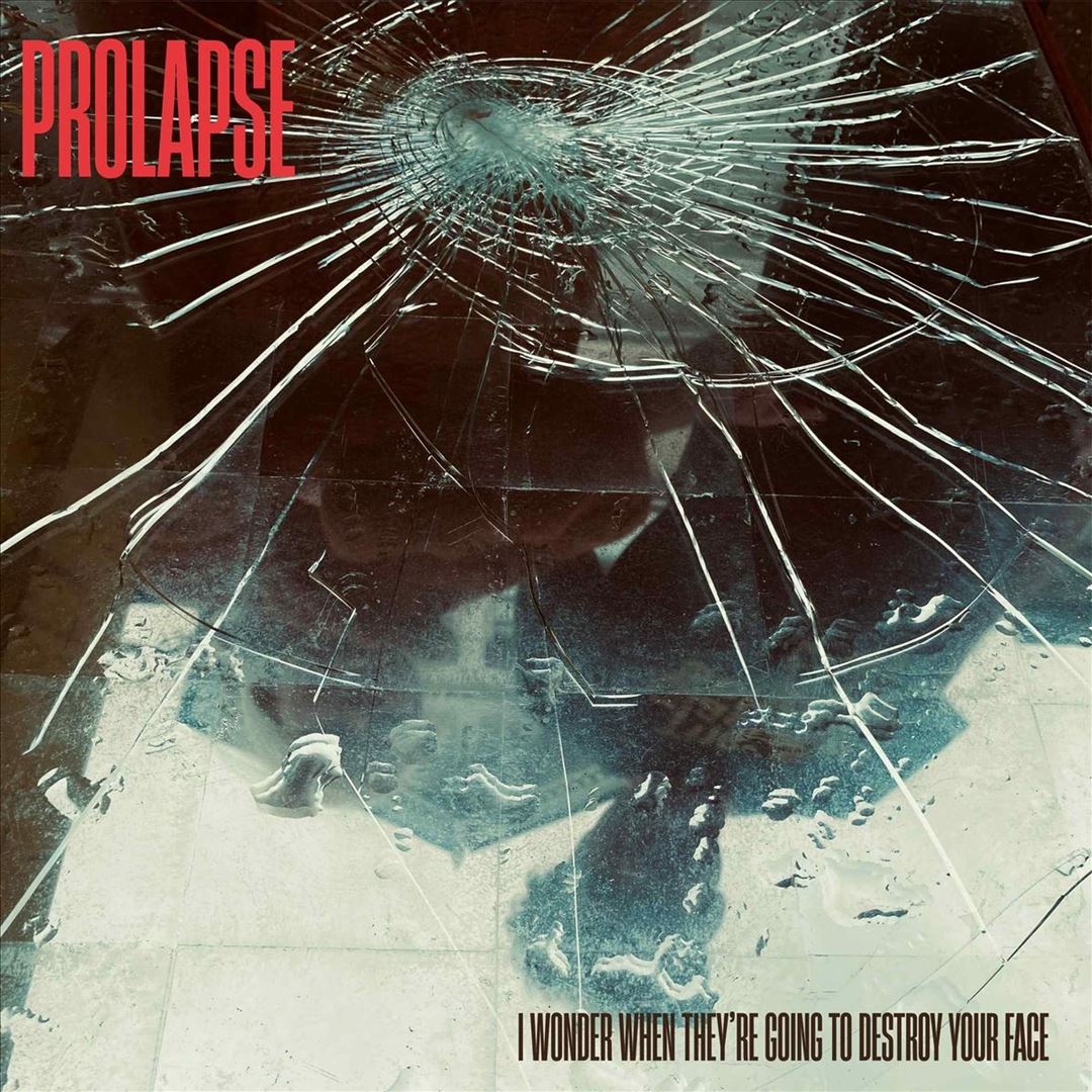 I Wonder When They're Going to Destroy Your Face cover art