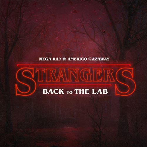 Strangers cover art