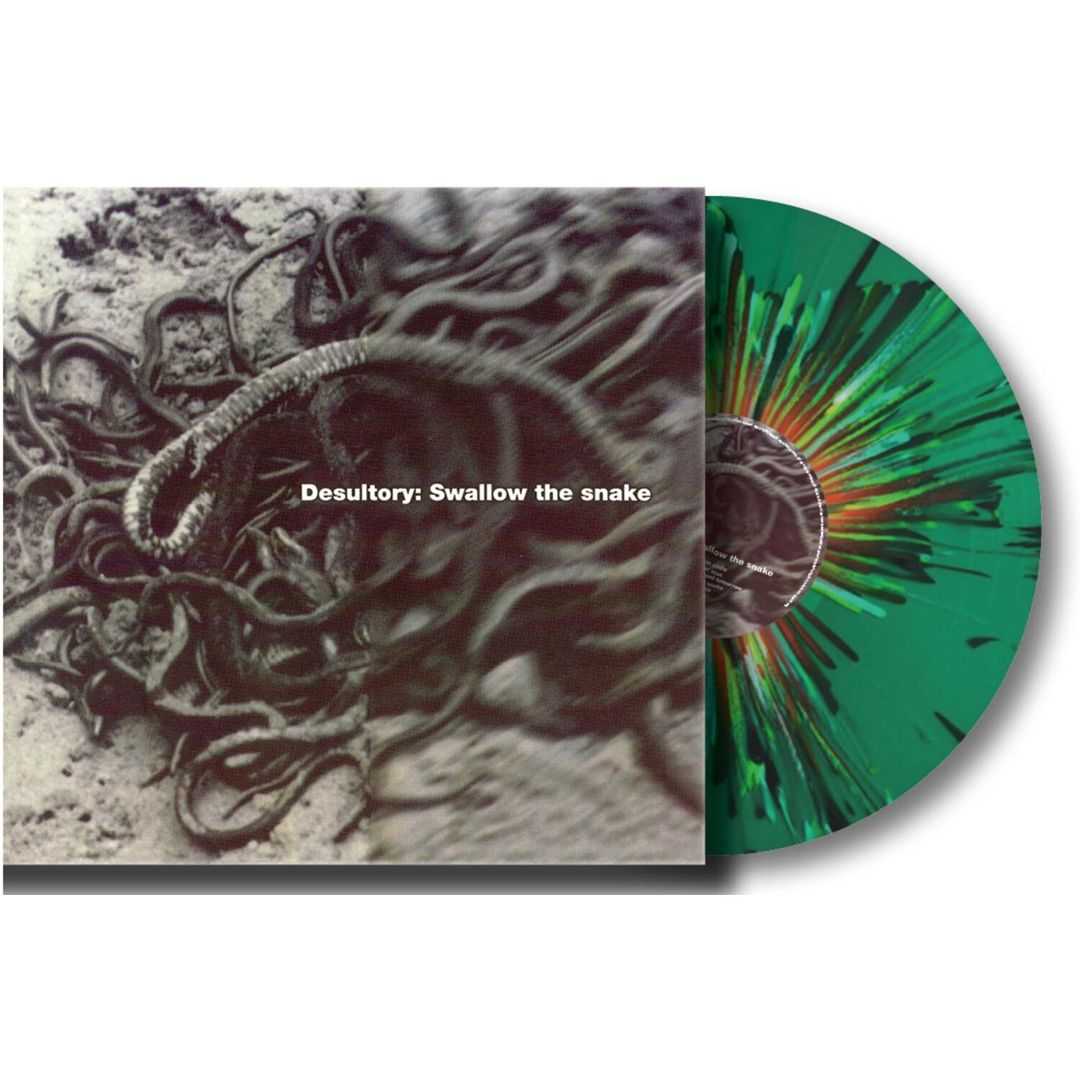 Swallow the Snake cover art
