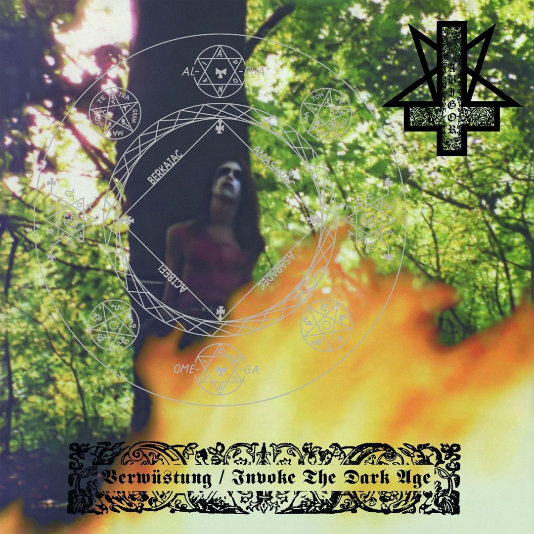 Verwustung/Invoke The Dark Age cover art