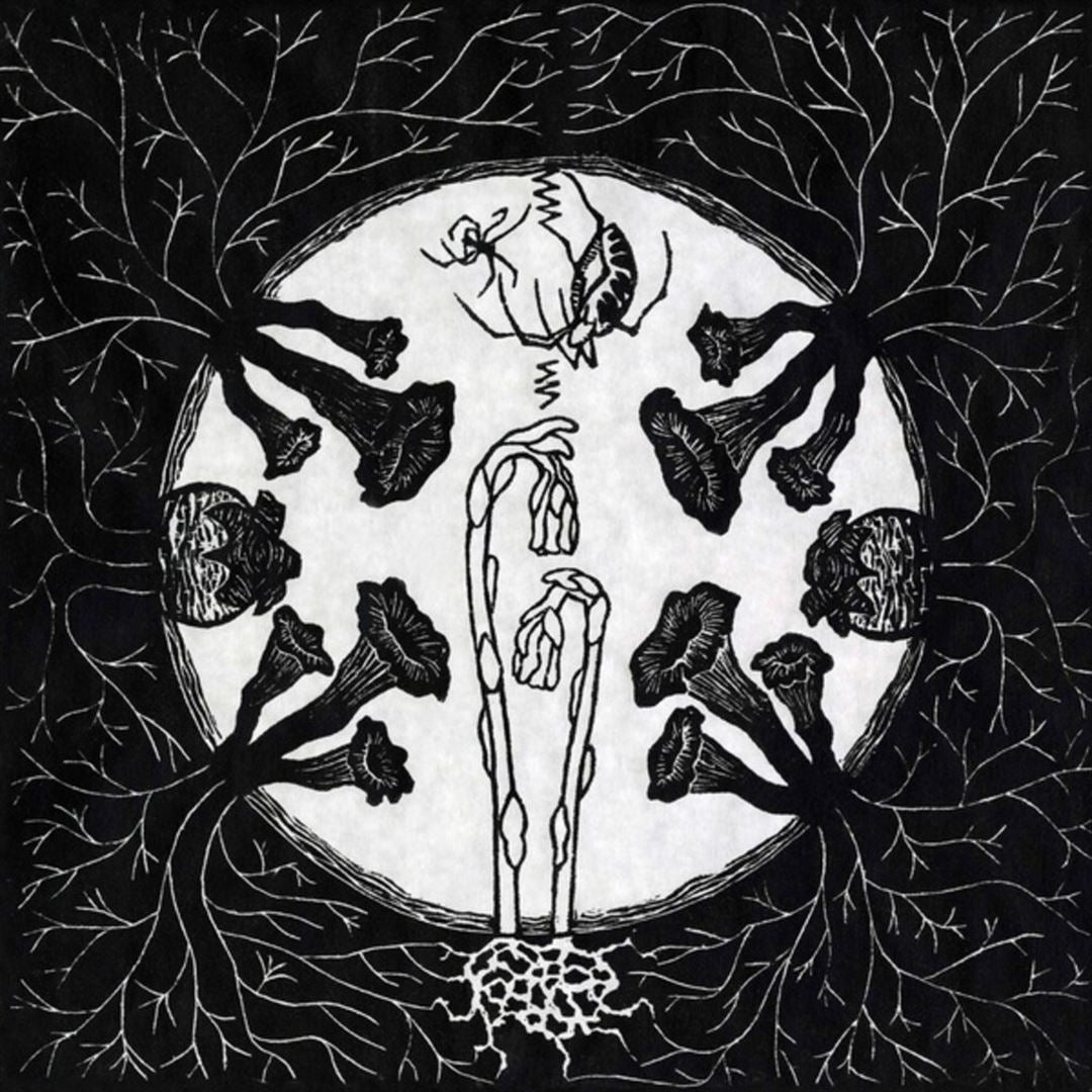 Tarantism cover art