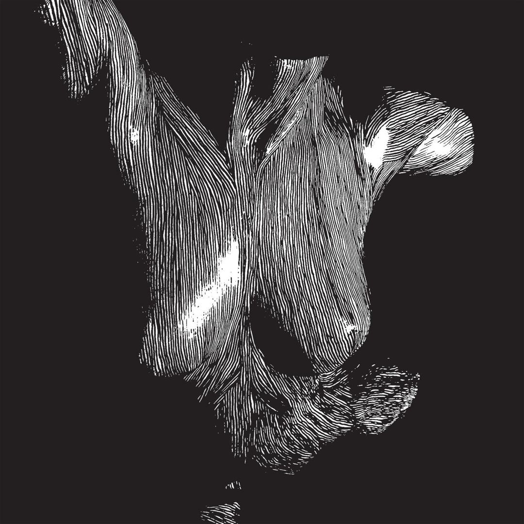 Self Preserved While the Bodies Float Up cover art